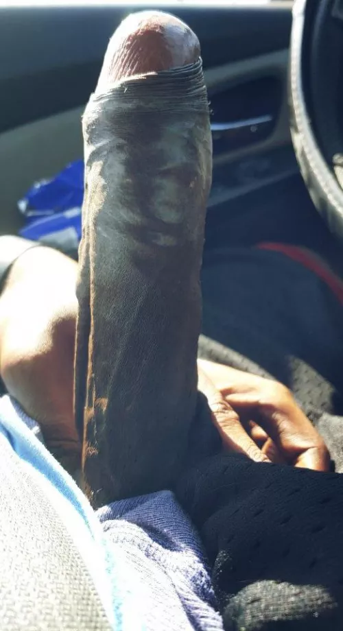 Sit on it by YourdailyBBC