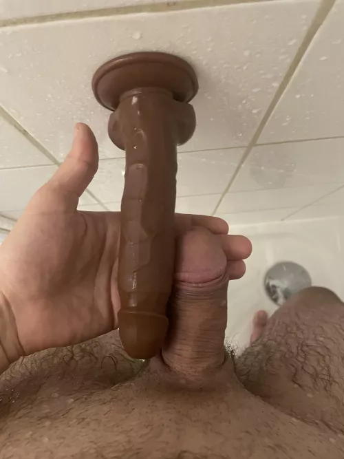 Size comparison by petitsifflet