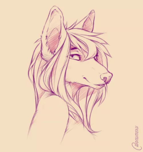 Sketch Portrait [OC] by noxu-art