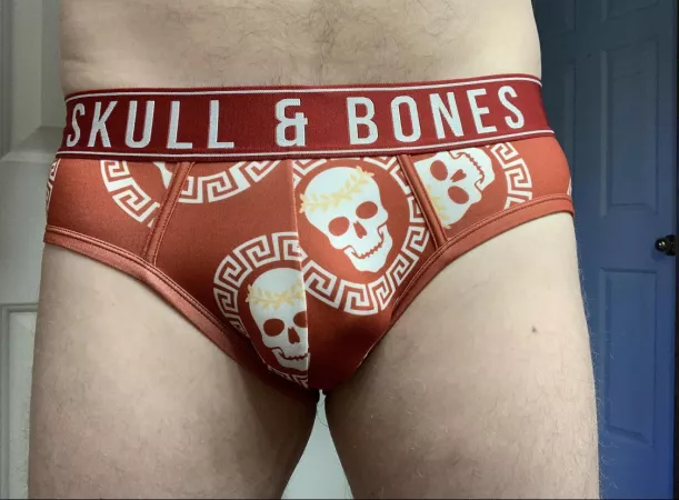 Skull & Bones Briefs… what do you think?? by TWCanadian