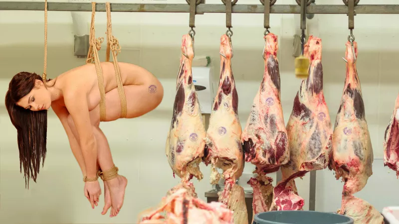 Slaughterhouse fantasy by JuliaSeth