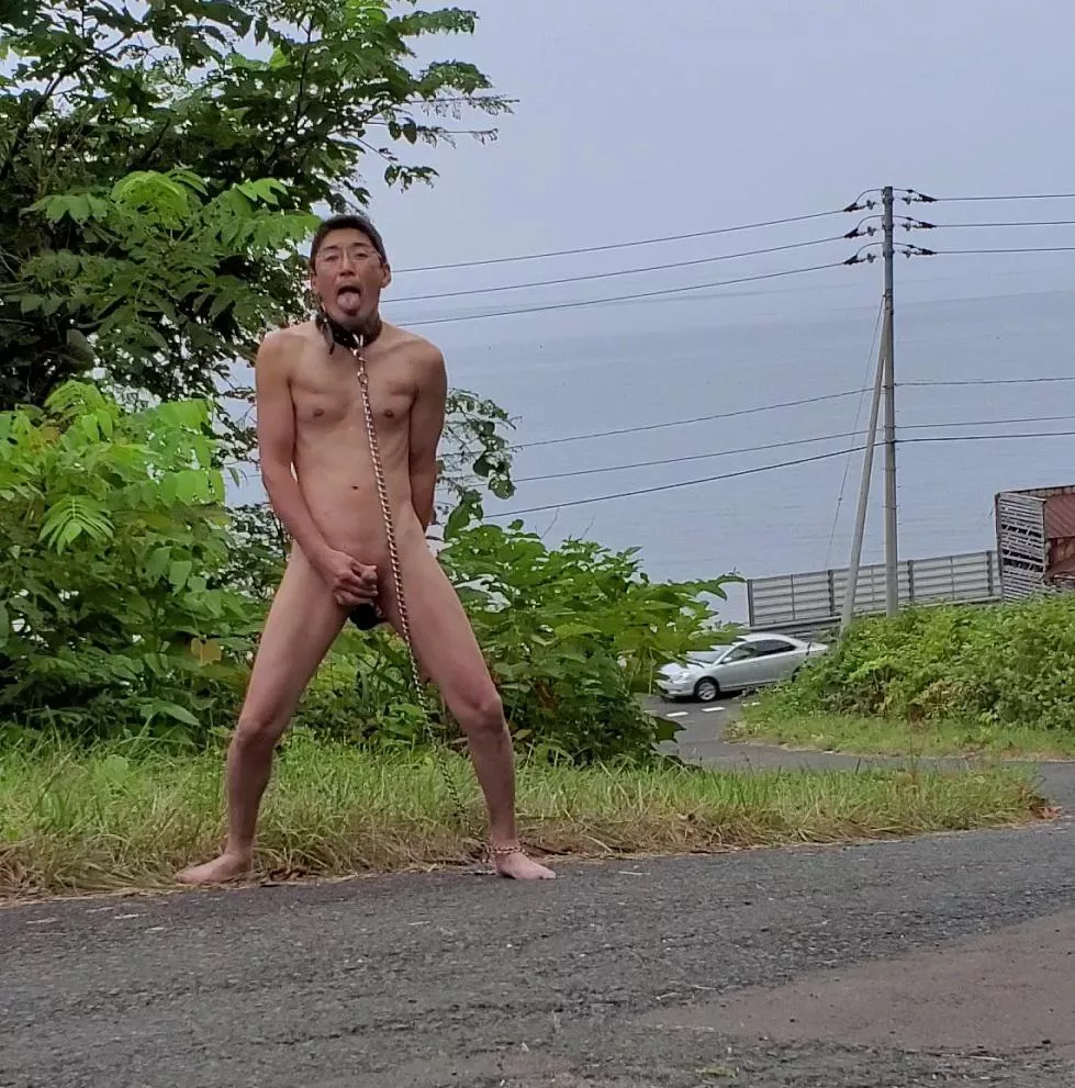 Slave Masturbation🐶 posted by masochist0528