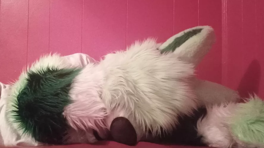 Sleepy Boi (Fursuit Friday 11/19/21) by Supremedalekaustin1