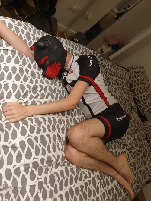 Sleepy pup today by pup_kaiden