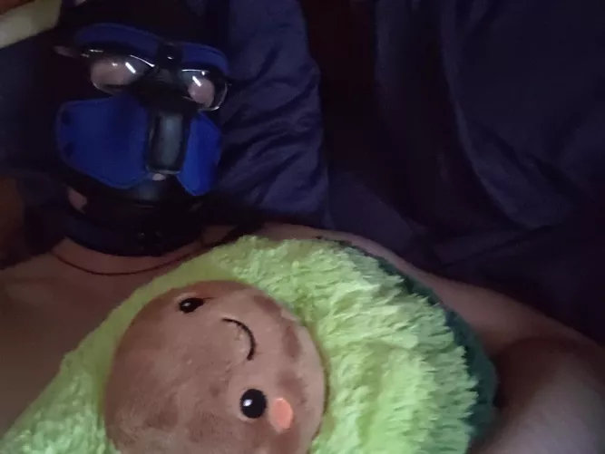 Sleepy pupper loves his avo-cuddle by SpartanPupKing