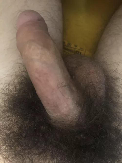 Sleepy by Xenarthra32