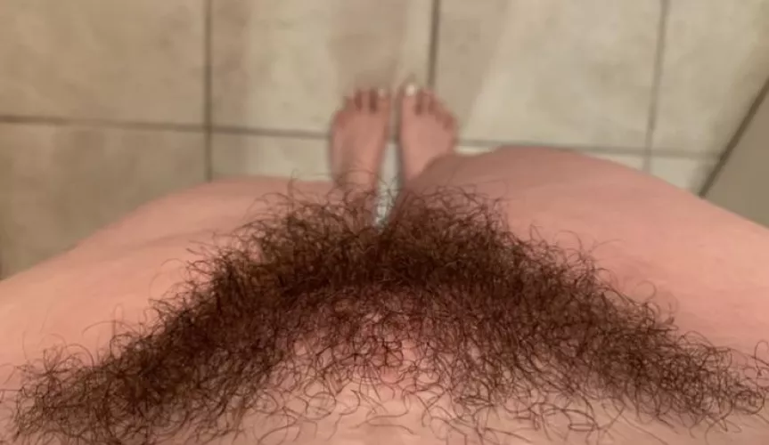 Smash or Pass? by sapphirespins