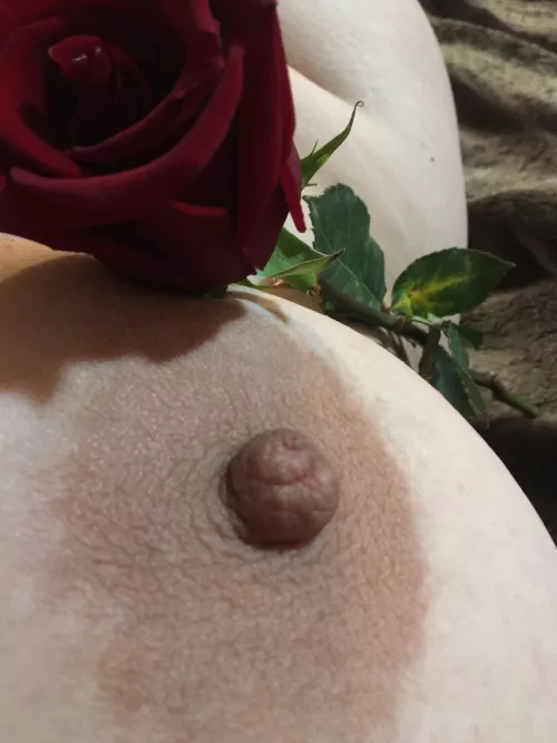 Smell the rose. And while you’re that close please suck my nipple! by BBWMILF4U