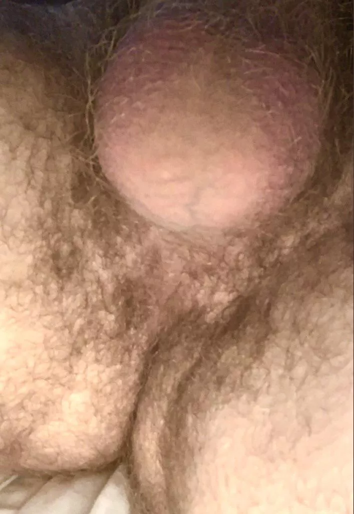 Smells like man musk posted by jocksmeller