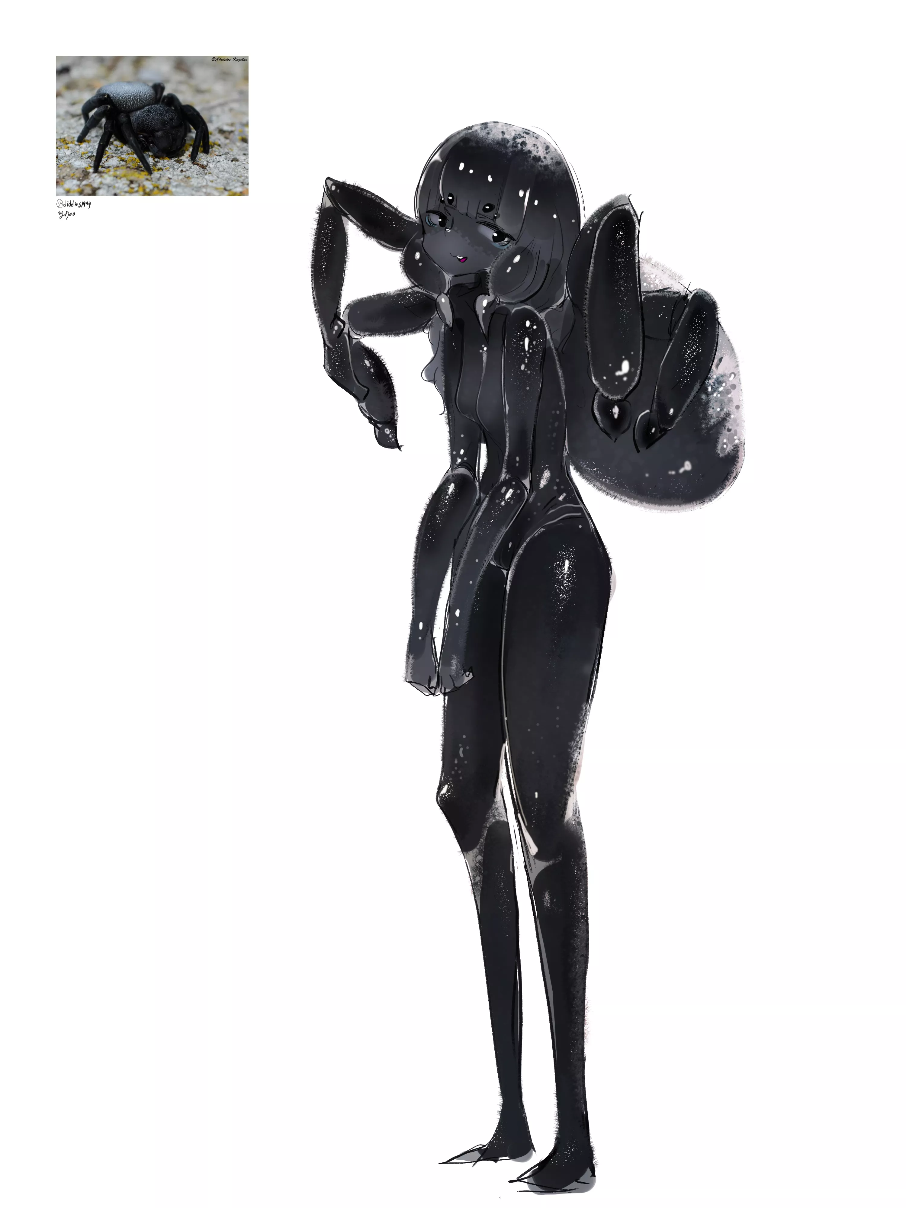 Smol black spider posted by Jacrispy_Tenders