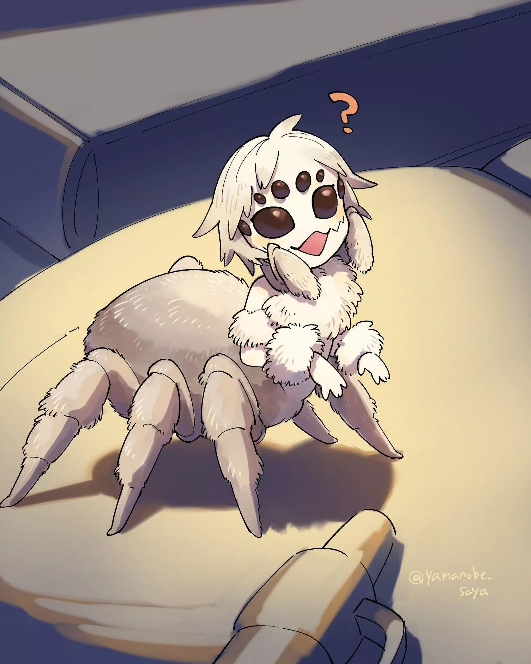 Smol spider posted by Jacrispy_Tenders