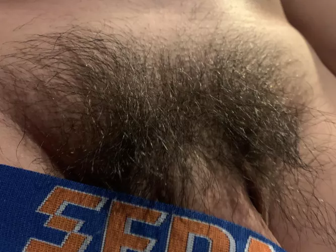 Smooth bro with wild bush…not the best 🥺, but just wanted to share my progress on no shaving Nov😘 by Long-Bus3569