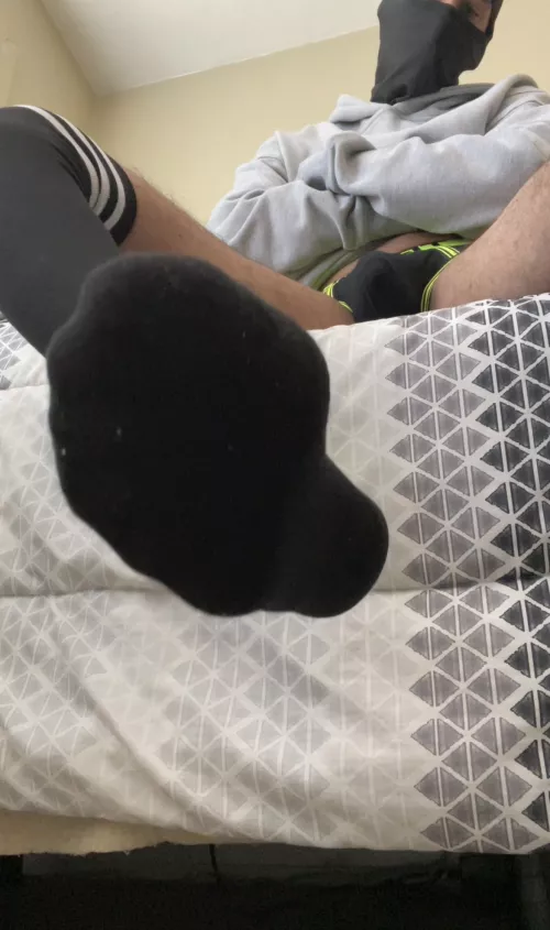 Snack time pet by myhorniacc