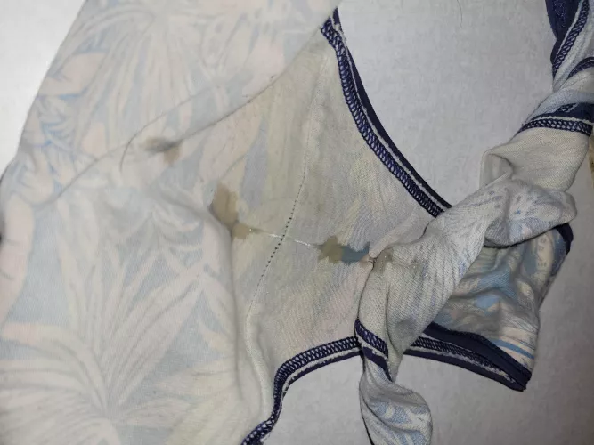 Snail trail by Leo20212021