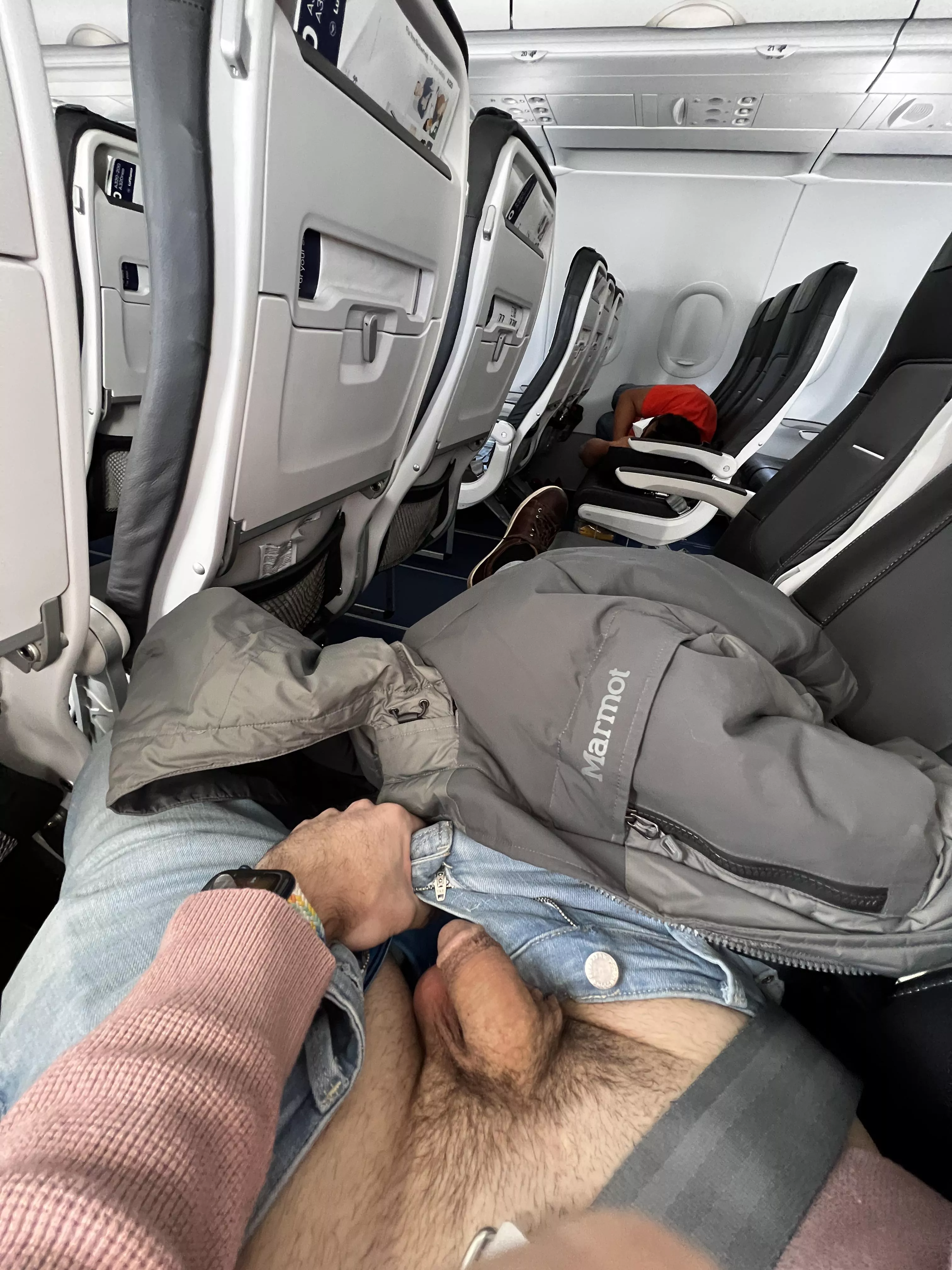 Snake on a plane 😛 posted by Hot_Understanding622