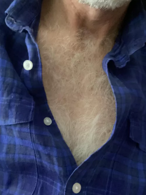 Sneaky silver by ectoscruff