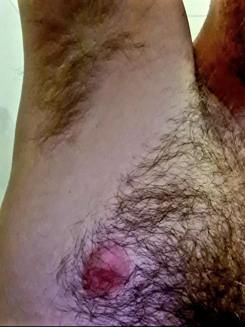 Sniff anyone? by BearHairyUc