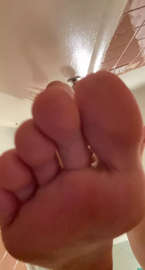 Sniff or lick ? by MamiBear7