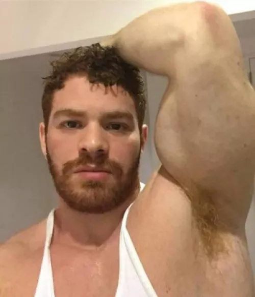 sniff by Equal-Dog-3094