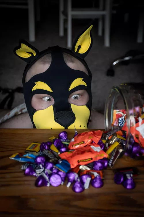 *sniff sniff* what's this??? by Kiowa_Ott