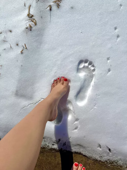 snow angels with my feet by kyleereece