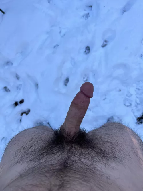 Snow bush by thatyogafvcker