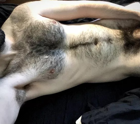 Snuggle up for warmth 😉 by aloneinnb