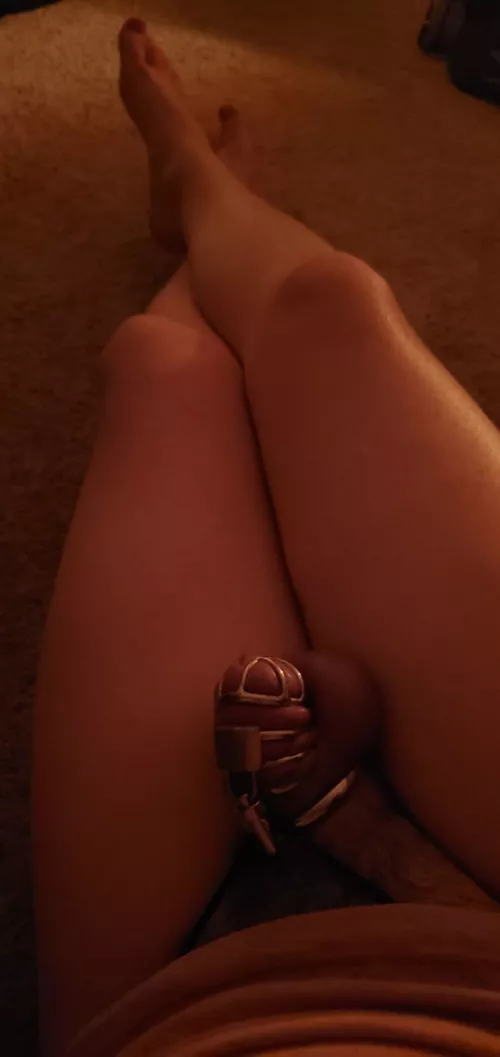 So cute how its trying to get out! by CdLola