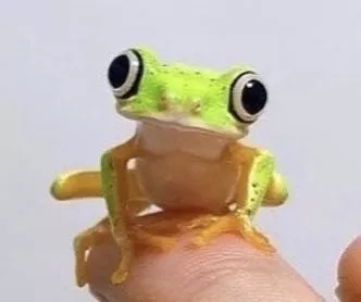 So does she still do any type of onlyfans if yes send me a link to her page if no have a nice day posted by Drogepauperdebiel