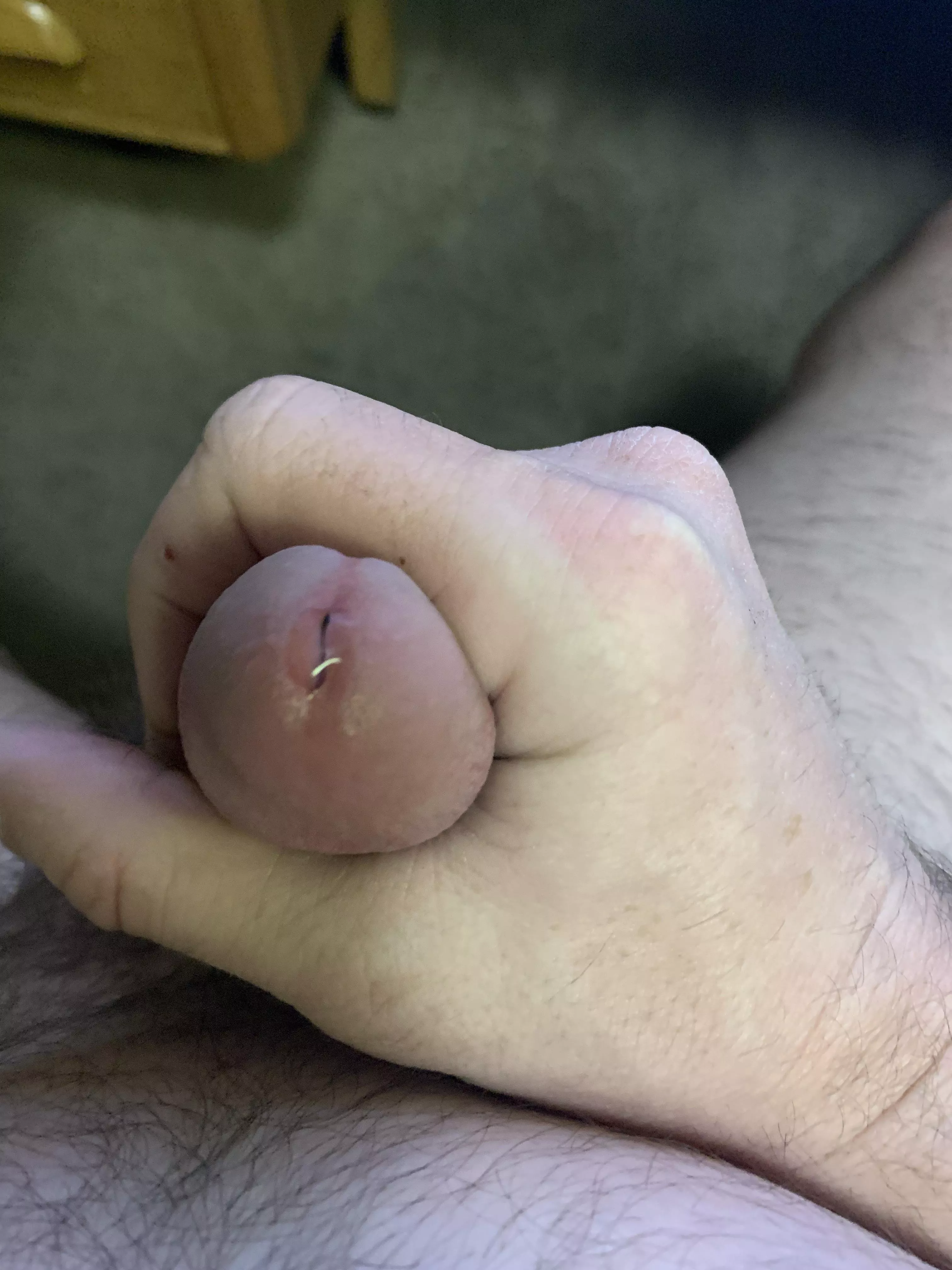 So fucking horny, I think I’ll edge for a hour or two. posted by Jerec27