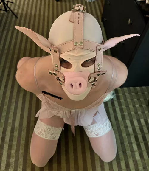 So grateful to have been turned into a sissy piggy 🥰 by doctordominasslave