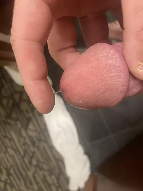 So horny… by cosmova