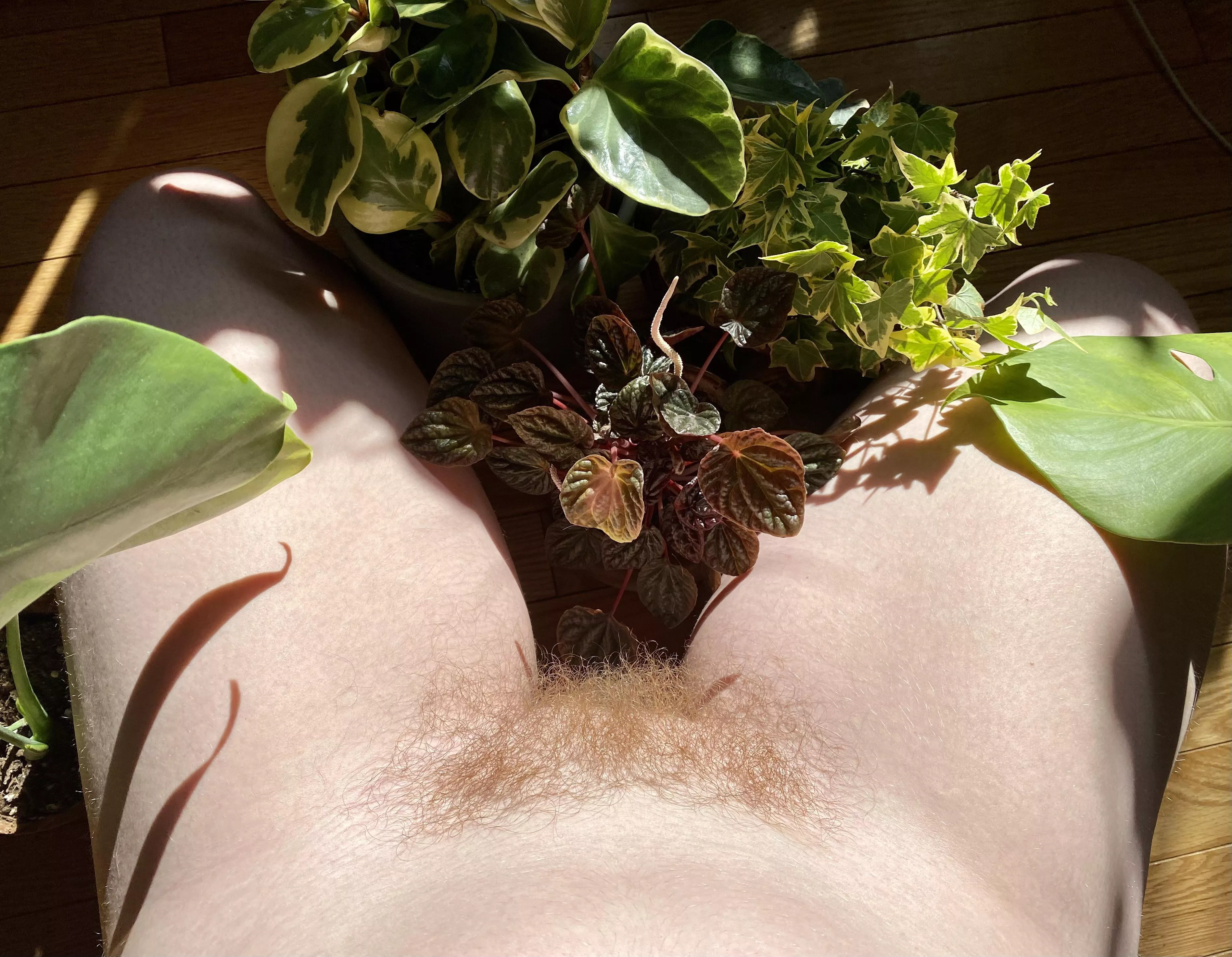 So I hear you like bush 🪴😏 posted by SquishyL0VE