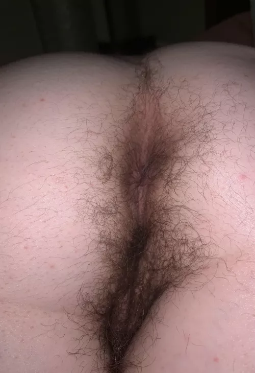 So I heard you like hairy asses?😏 by kayycakes