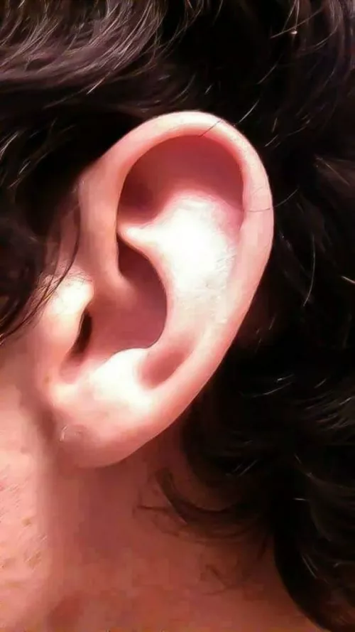 So I'm 24 (for those wondering), I have a ear fetish. My ears are super sensitive, honestly probably one of the most sensitive spots of my body. It's hard to control myself once someone plays with my ears. The top part of my ear is very stretchy, I lov by Ok_Presentation290