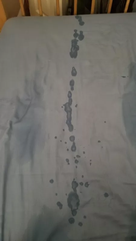 So it... went off the edge of the bed... whoops by Your_Pipeline