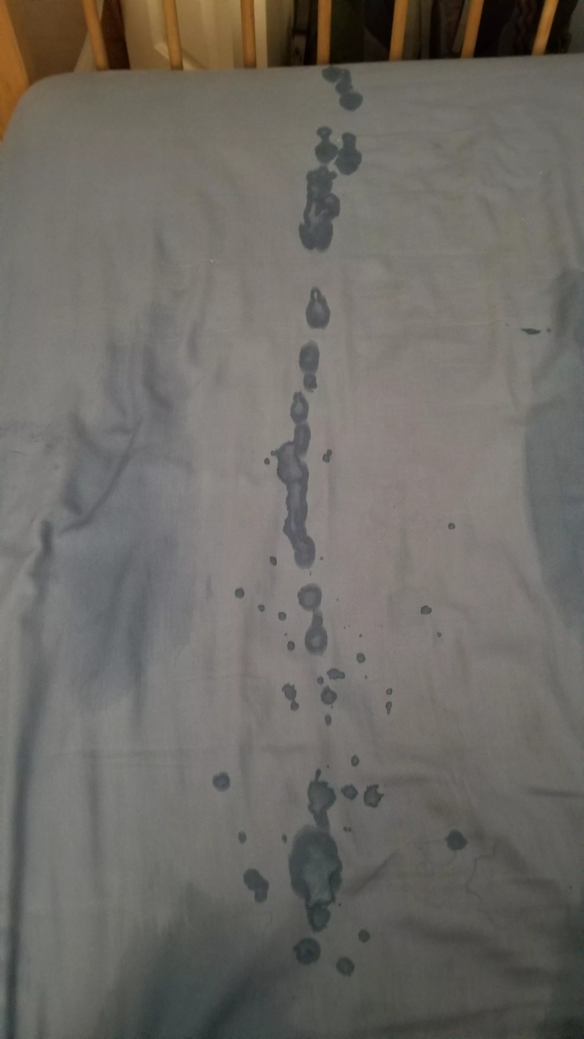 So it... went off the edge of the bed... whoops posted by Your_Pipeline