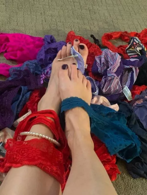 So many choices! [F] by SaraBee4551