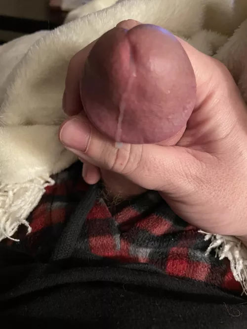 So many sexy girls on here making me so hard by purr_vertical