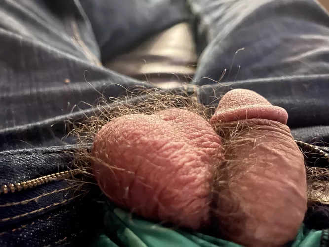 So much more hair if you can get these pants off. by Tiny_Bedroom_9863