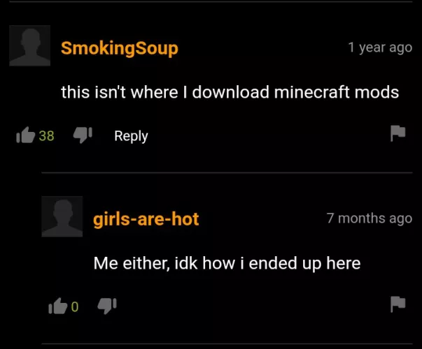 So no Minecraft mods then? by Sleepless_Teen42069