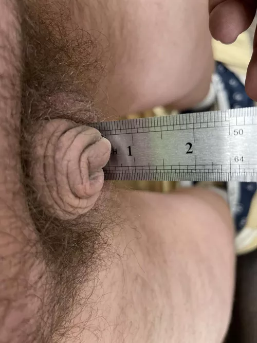 So pathetic by Natural-Mood-5106