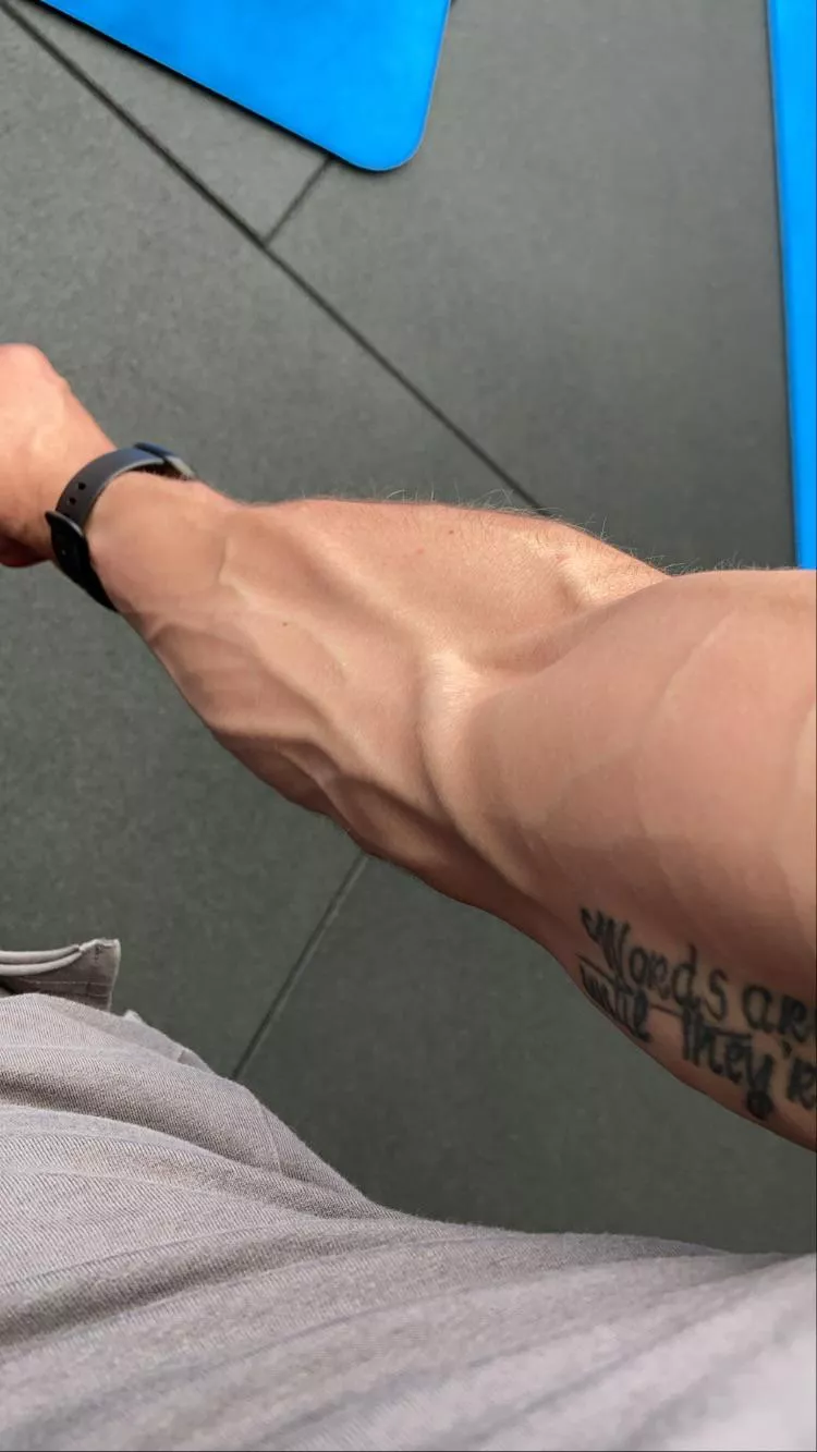 So people really like this? posted by tarothir