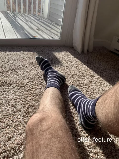 Soaking up some rays by otter_feeture