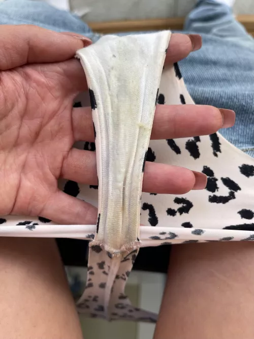 Soaking wet leopard print thong. Kik - ladylily_x by Excellent_Pea1470