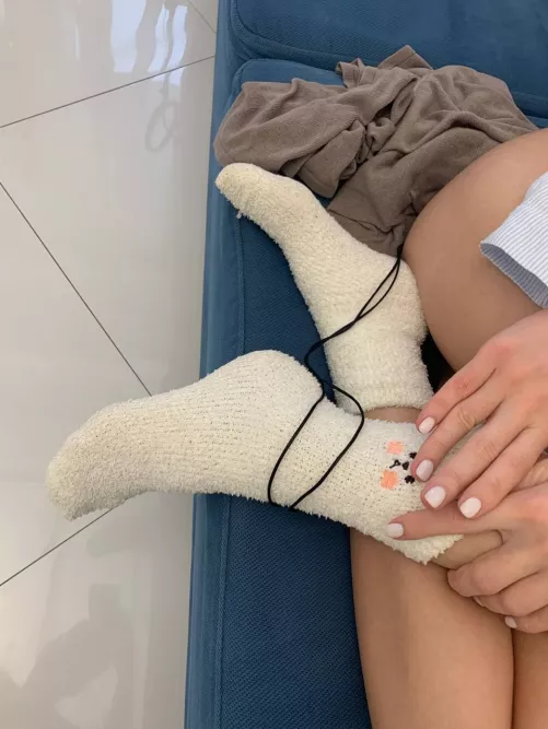 socks with a kitty by karishamr