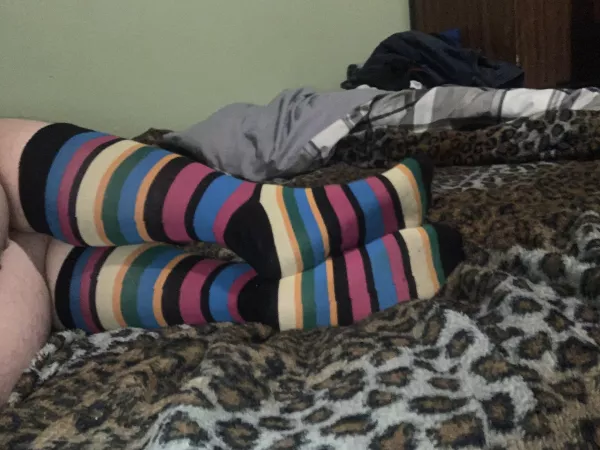 Sockss! by vortexstrider