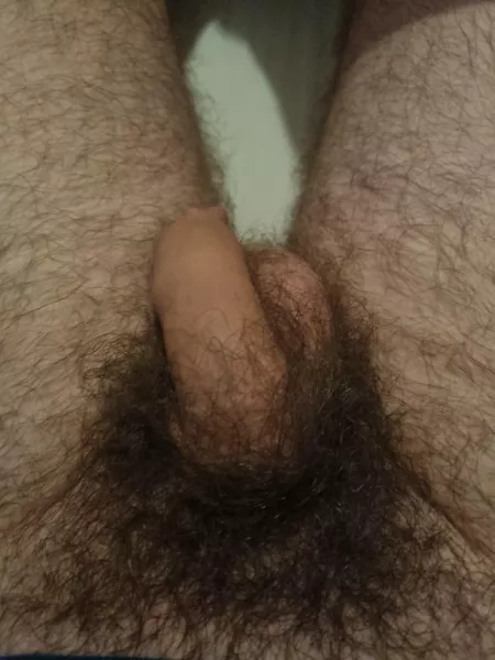 Soft 2003 cock by BruhMoment232