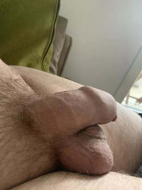 Soft by C0ck_Counter2640