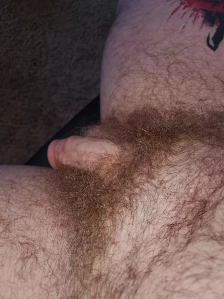 Soft dicks are underrated by Mindless-Suspect-248